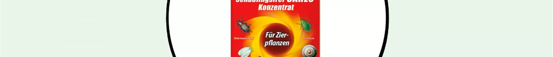 Substral_SchädlingsfreiZierpflanze_Thumbnail.png