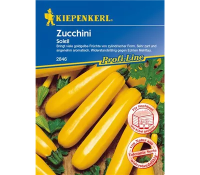 Zucchini 'Soleil F1'