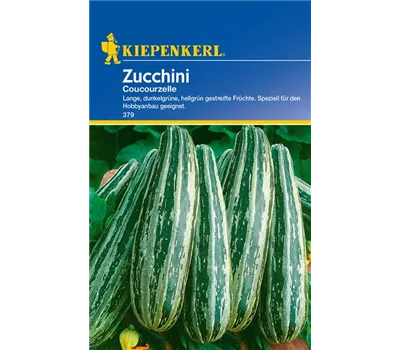 Zucchini 'Coucourzelle'