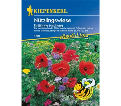 Nützlingswiese