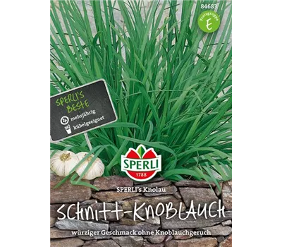 Schnittknoblauch 'Knolau'