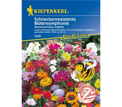 Schneckenresistente Blütensymphonie