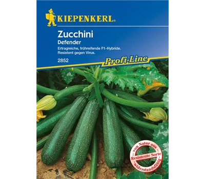 Zucchini 'Defender F1'