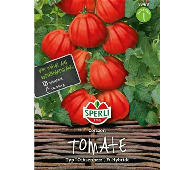 Fleischtomate 'Corazon F1'