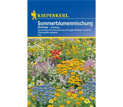 Niedrige Sommerblumen