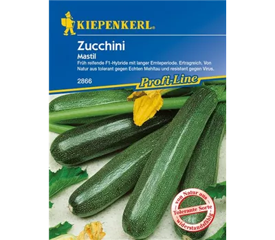 Zucchini 'Mastil'