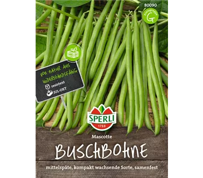 Buschbohne 'Mascotte'