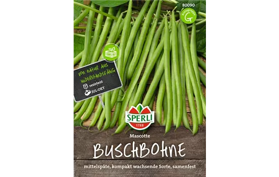 Buschbohne 'Mascotte'