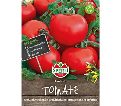 Tomate 'Fantasio F1'