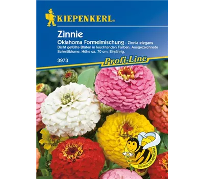 Garten-Zinnie 'Oklahoma-Formelmix'