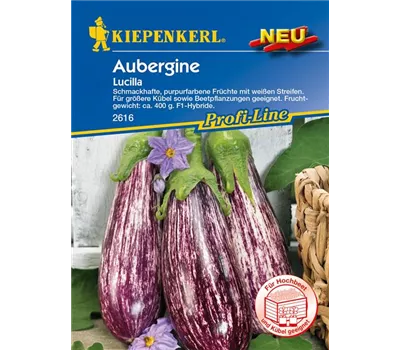 Aubergine 'Lucilla'