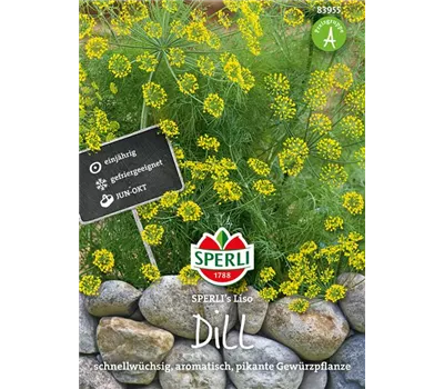 Dill 'Liso'