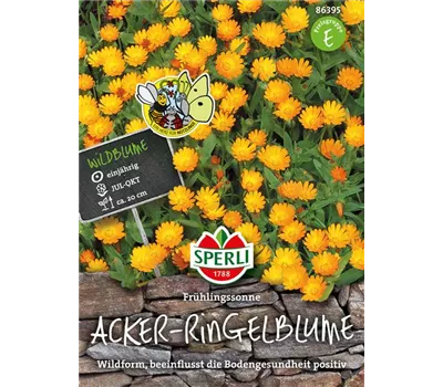 Acker-Ringelblume 'Frühlingssonne'