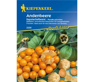 Andenbeere