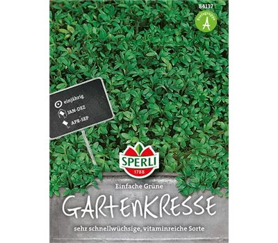 Gartenkresse 'Einfache Grüne'