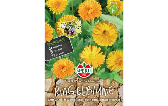 Ringelblume 'Wilde Schönheit'