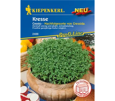 Gartenkresse 'Cresto'