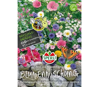 Blumenmischung 'Feld- und Wiesencharme'