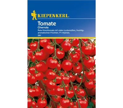 Kirschtomate 'Cherrola F1'