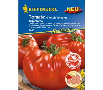 Fleischtomate 'Gigantomo F1'