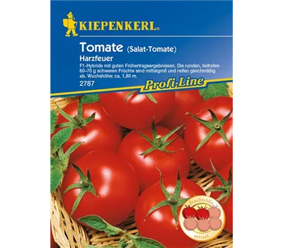 Tomate 'Harzfeuer F1'