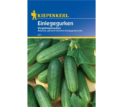 Einlege-Gurke 'Vorgebirgstrauben'