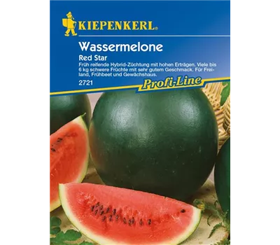 Wassermelone 'Red Star'