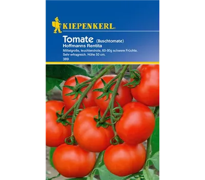 Buschtomate 'Hoffmanns Rentita'