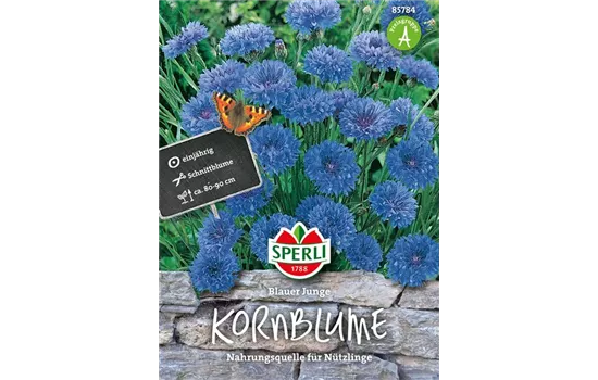 Kornblume 'Blauer Junge'