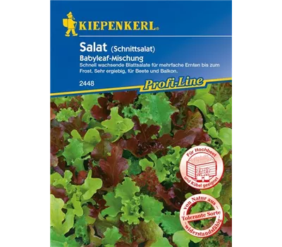 Babyleaf-Salat