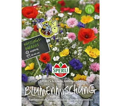 Blumenmischung 'Schnelle Blütenpracht'