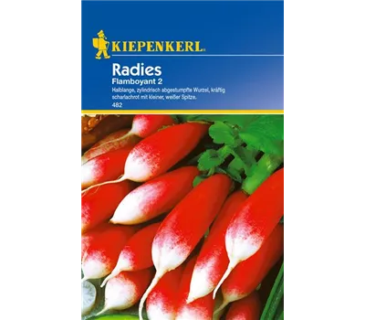 Radieschen 'Flamboyant 2'