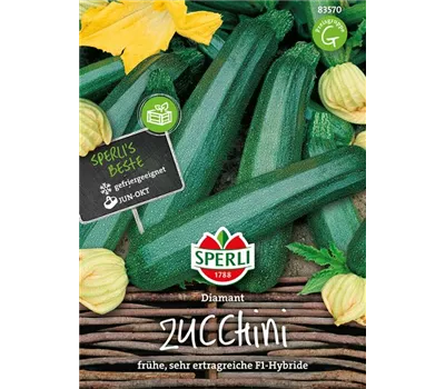 Zucchini 'Diamant F1'