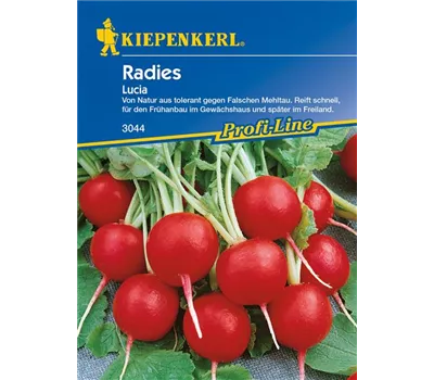 Radieschen 'Lucia'