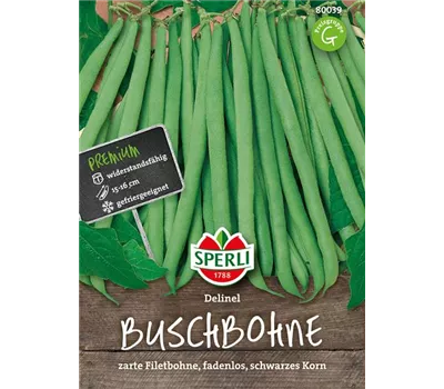 Busch-Bohne 'Delinel'