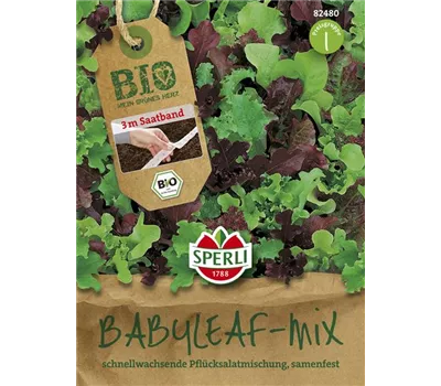 Babyleaf-Salat