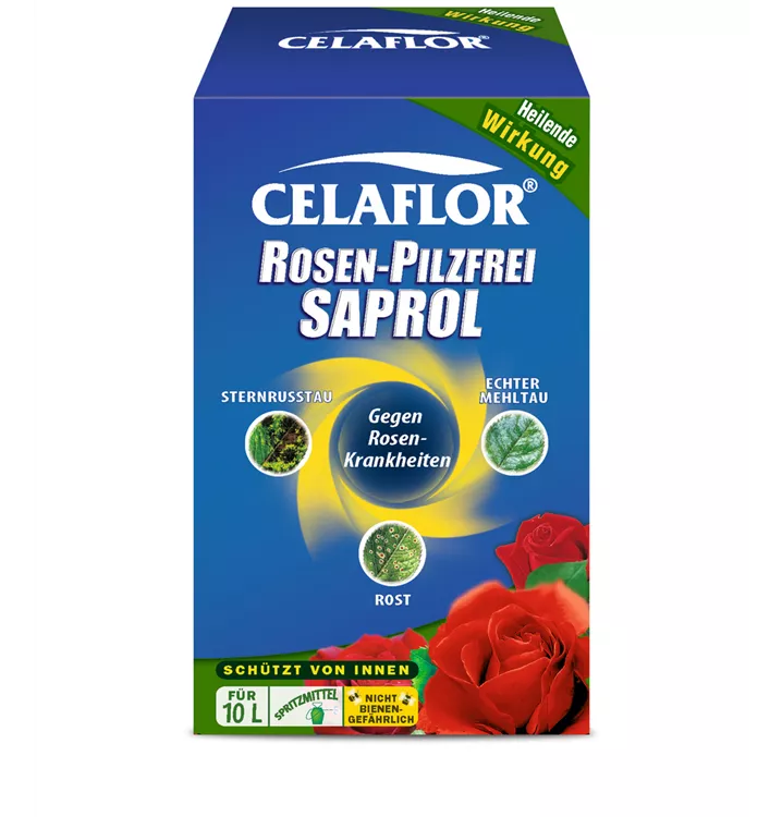 Celaflor Rosen-Pilzfrei Saprol Konzentrat